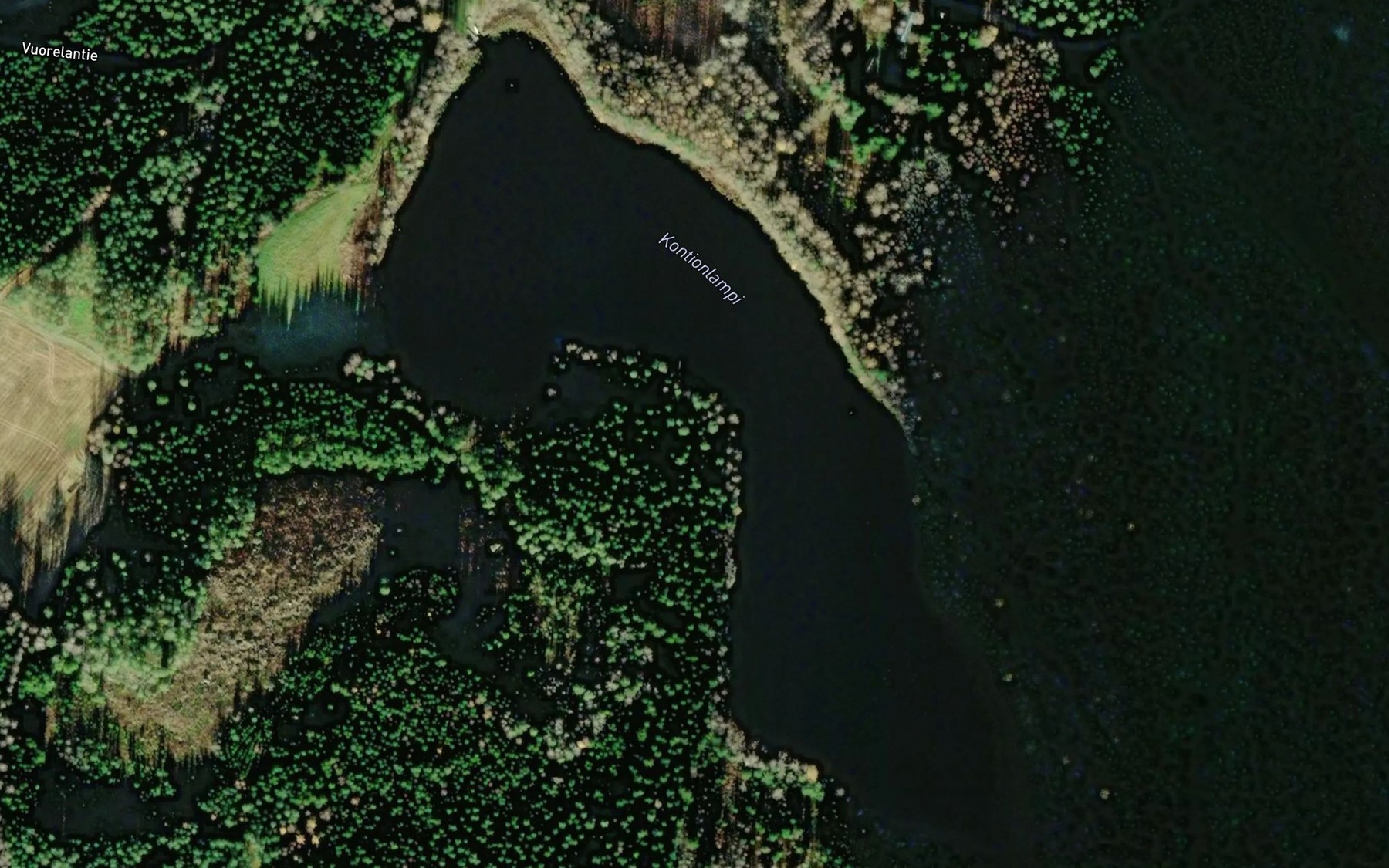 Satellite map of the Kontionlampi