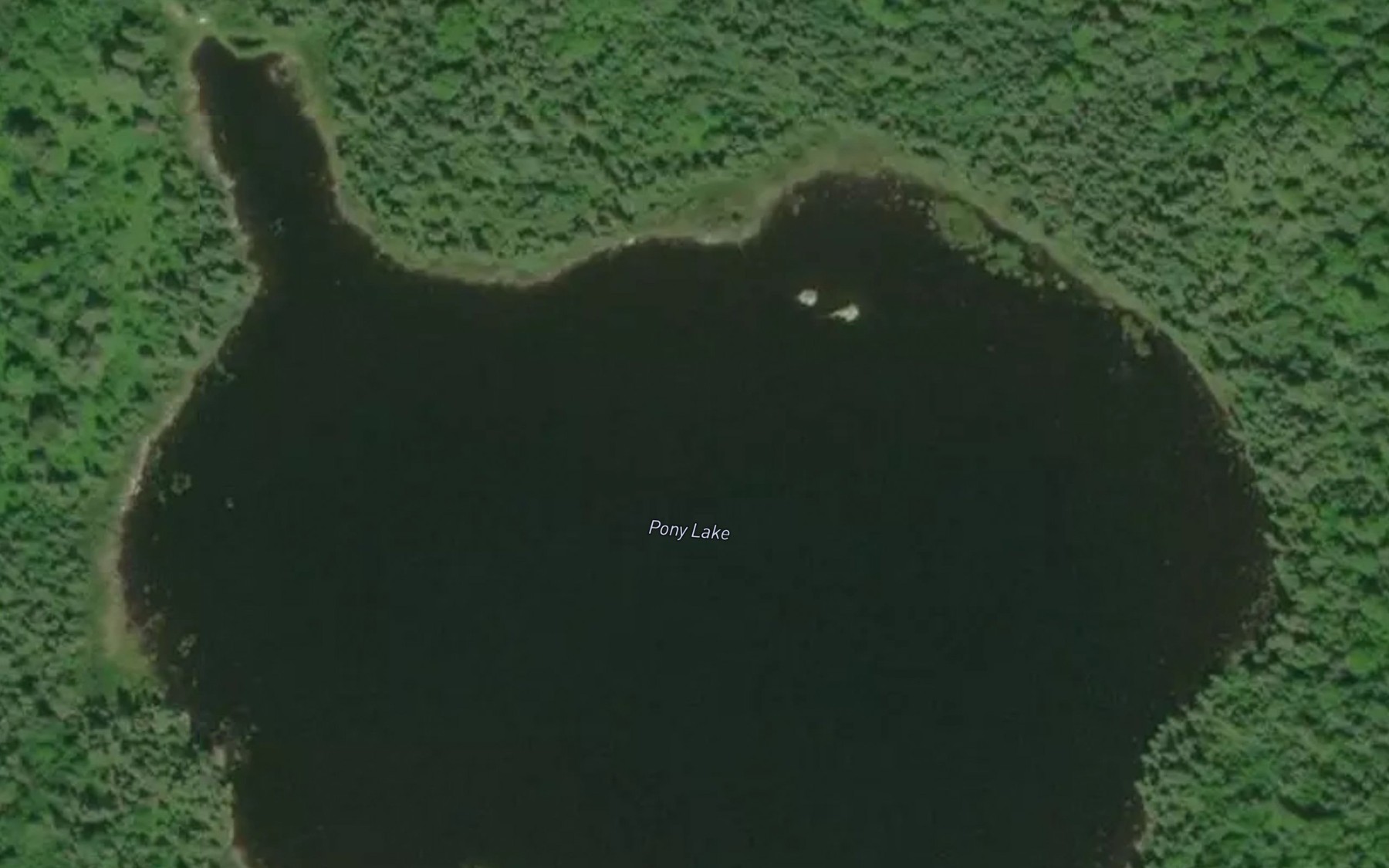 Satellite map of the Pony Lake