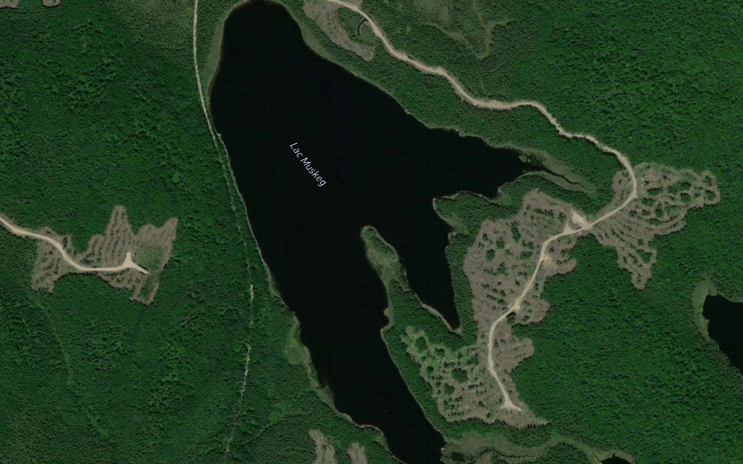Lac Muskeg