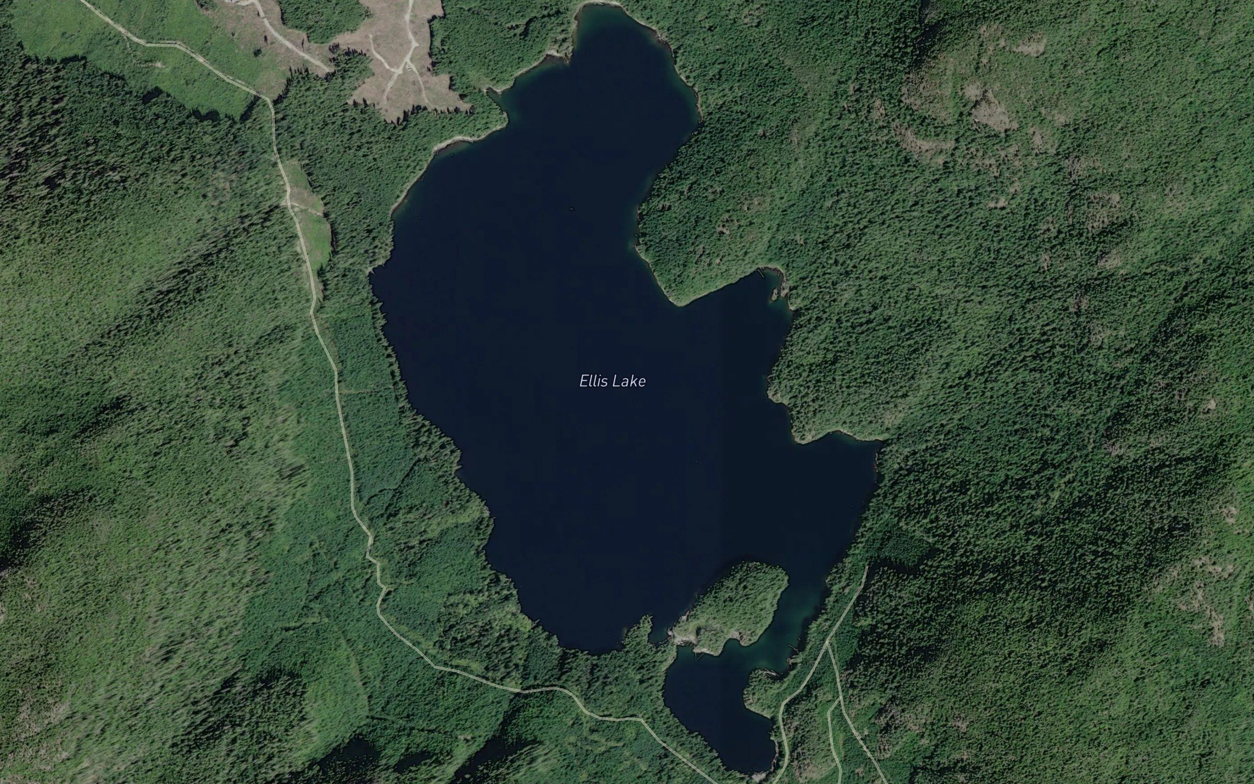 Ellis Lake