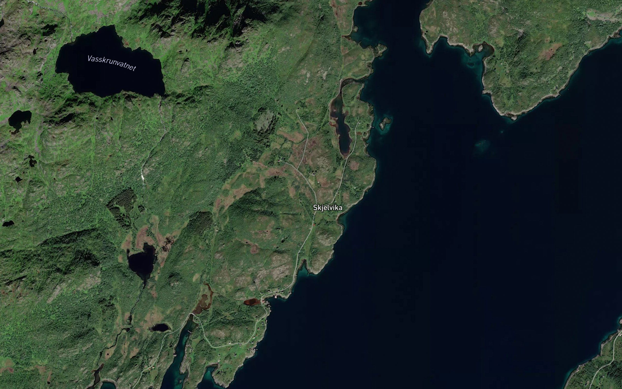 Skjelvikelva