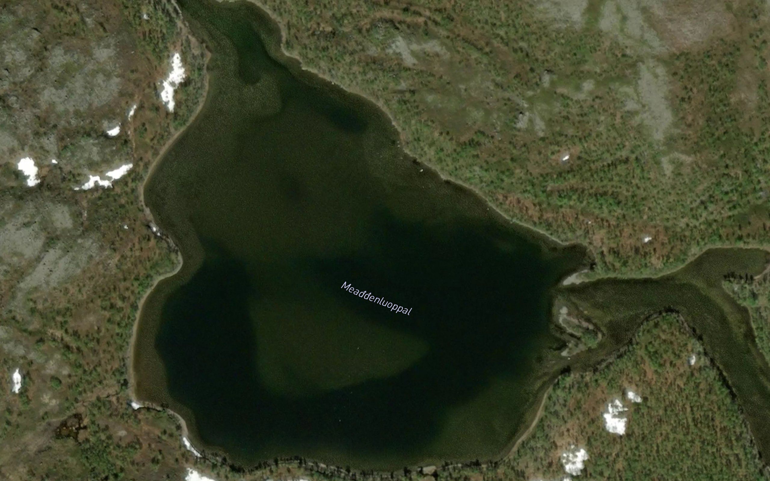 Maeddenluobbal