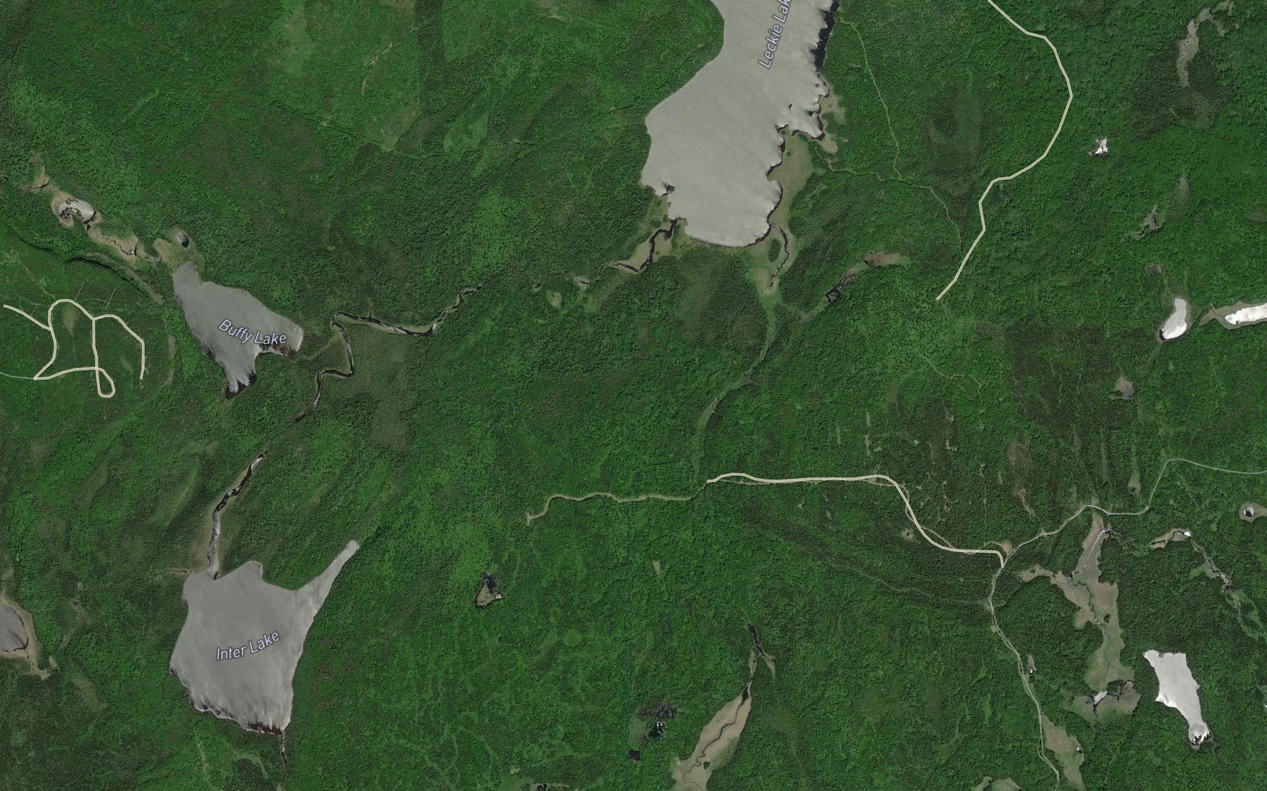 Leckie Creek