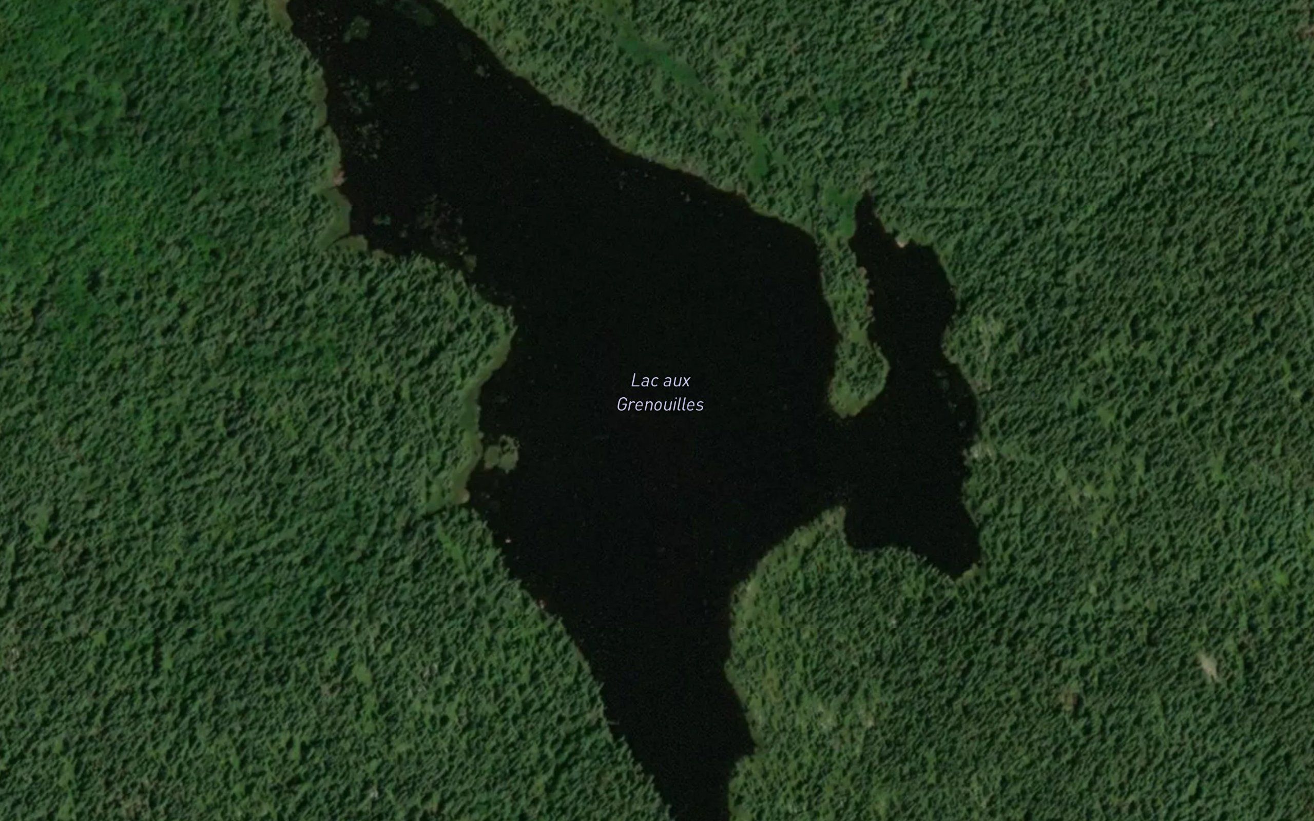 Lac aux Grenouilles
