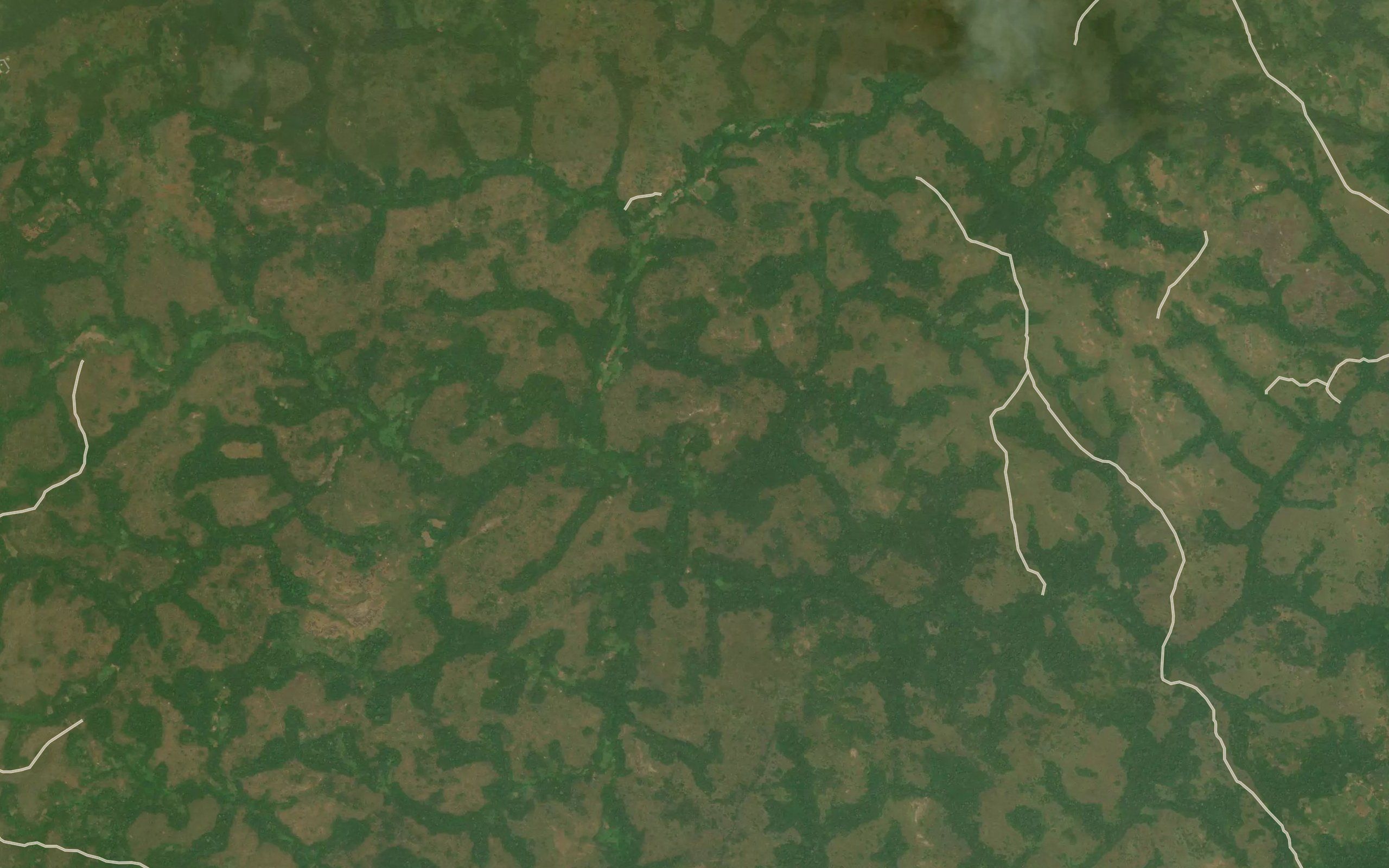 Ngenekoula