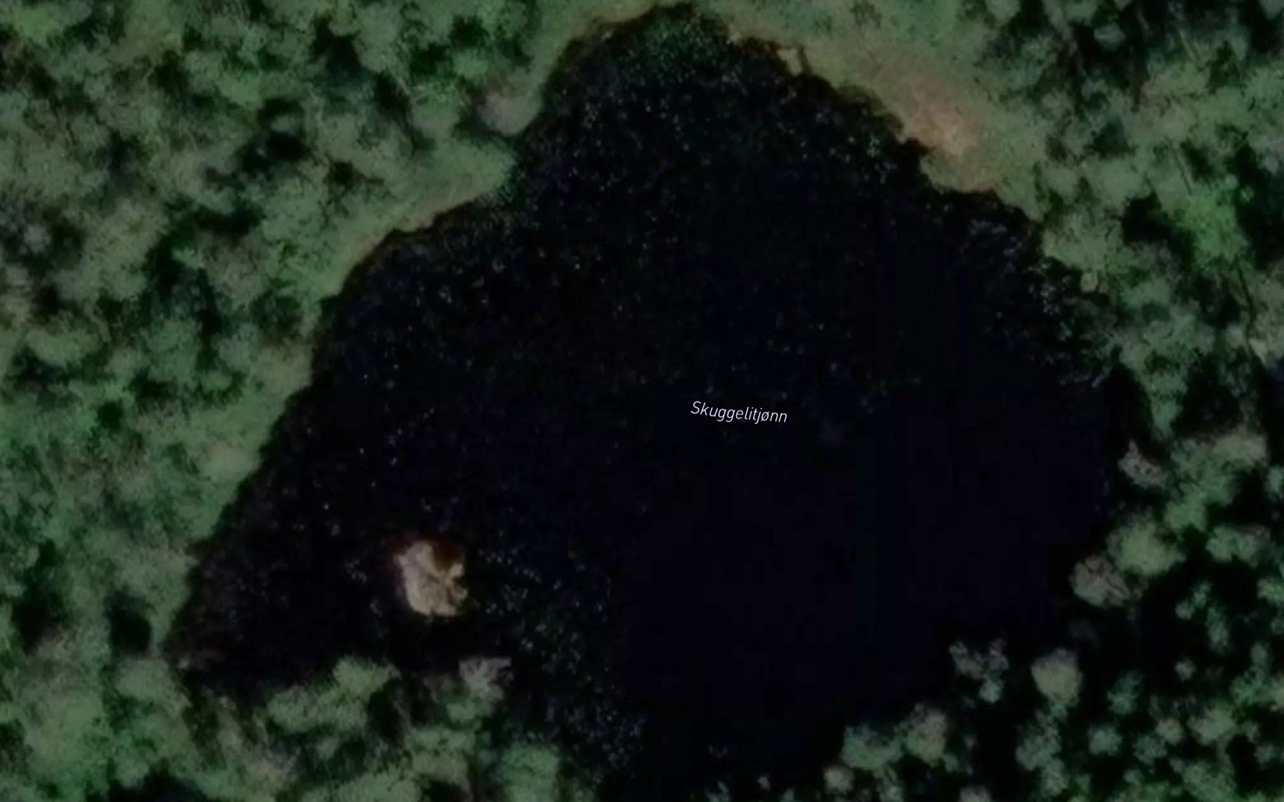 Skuggelitjonn