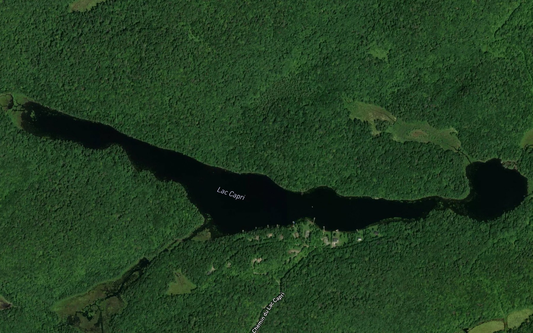 Satellite map of the Lac Capri