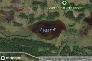 Lyseren