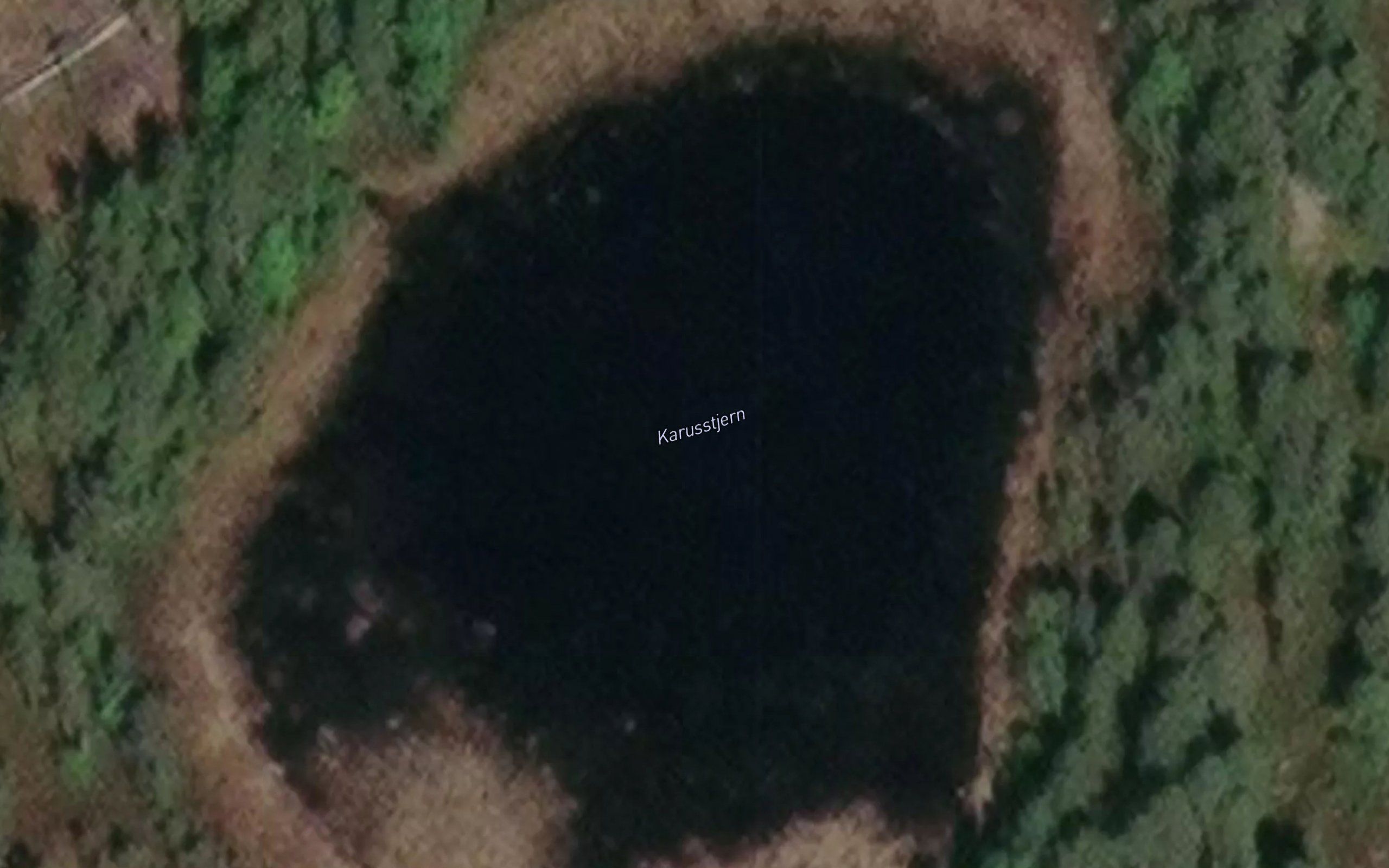 Karusstjern