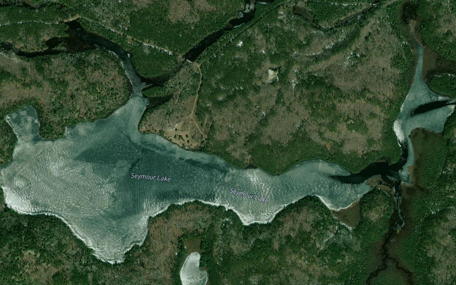 Satellite map of the Seymour Lake