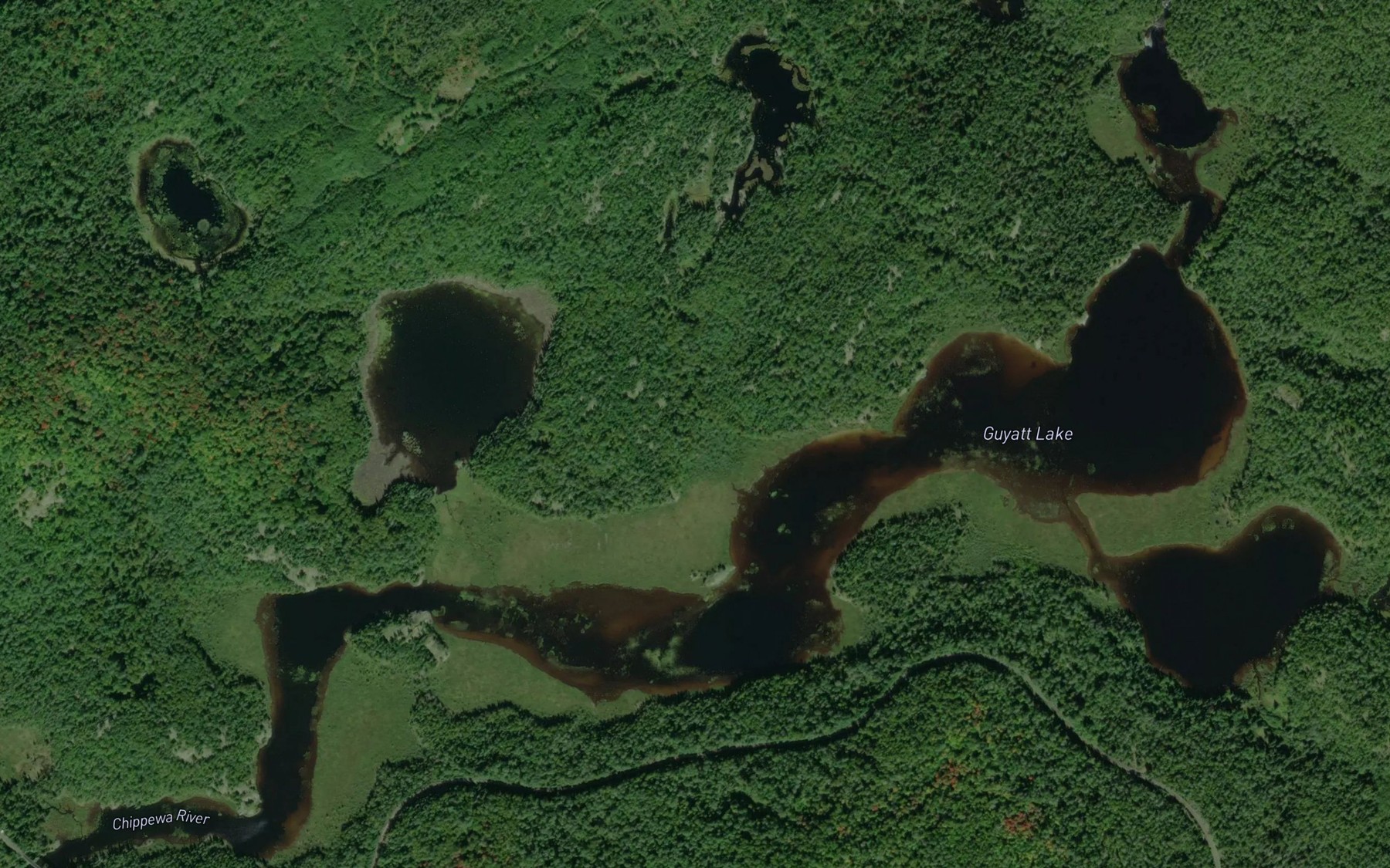 Satellite map of the Guyatt Lake