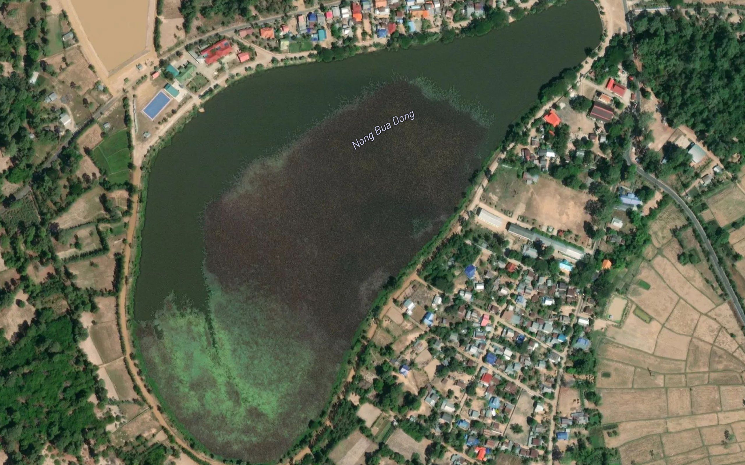 Nong Bua Dong