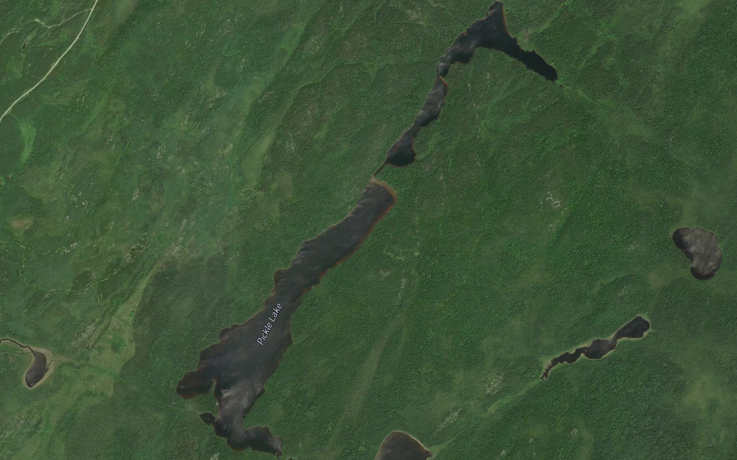 Pickle Lake