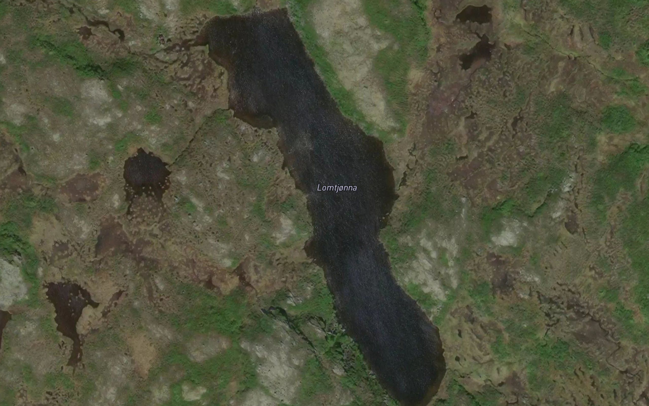 Lomtjorna