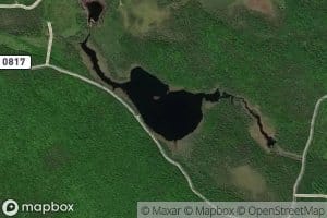 Lac McFadden