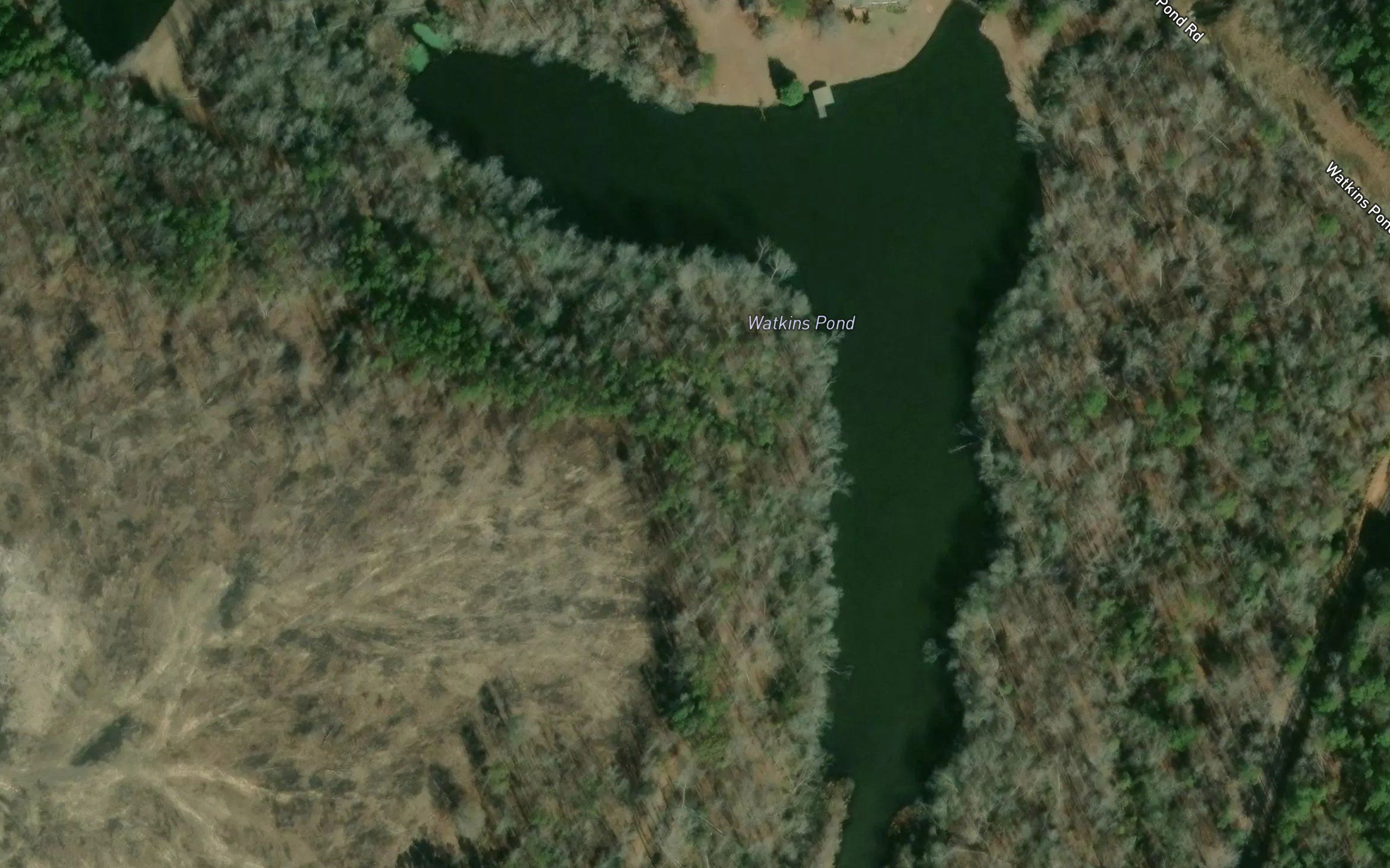 Watkins Pond