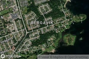 Bergaviken