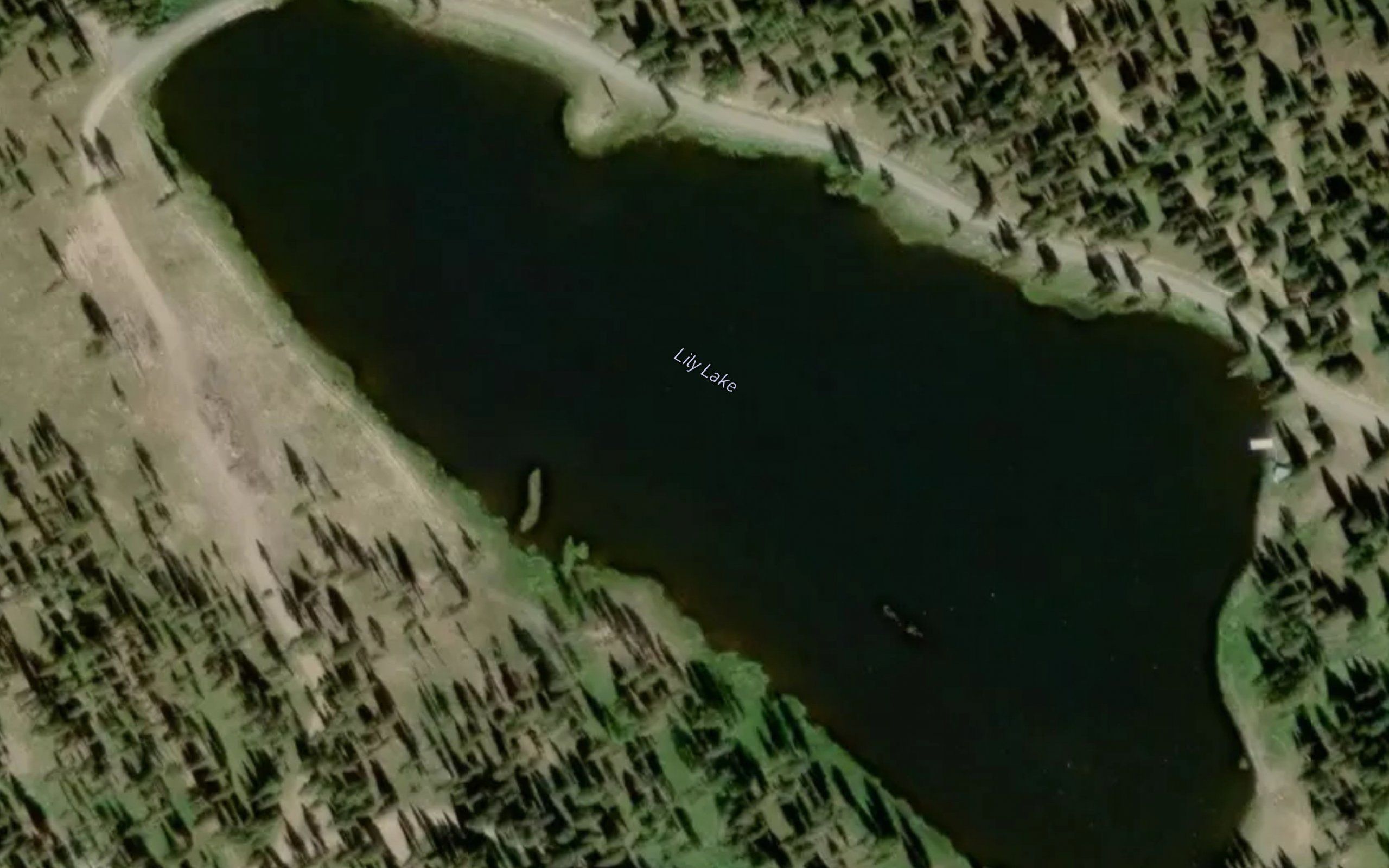 Lily Lake