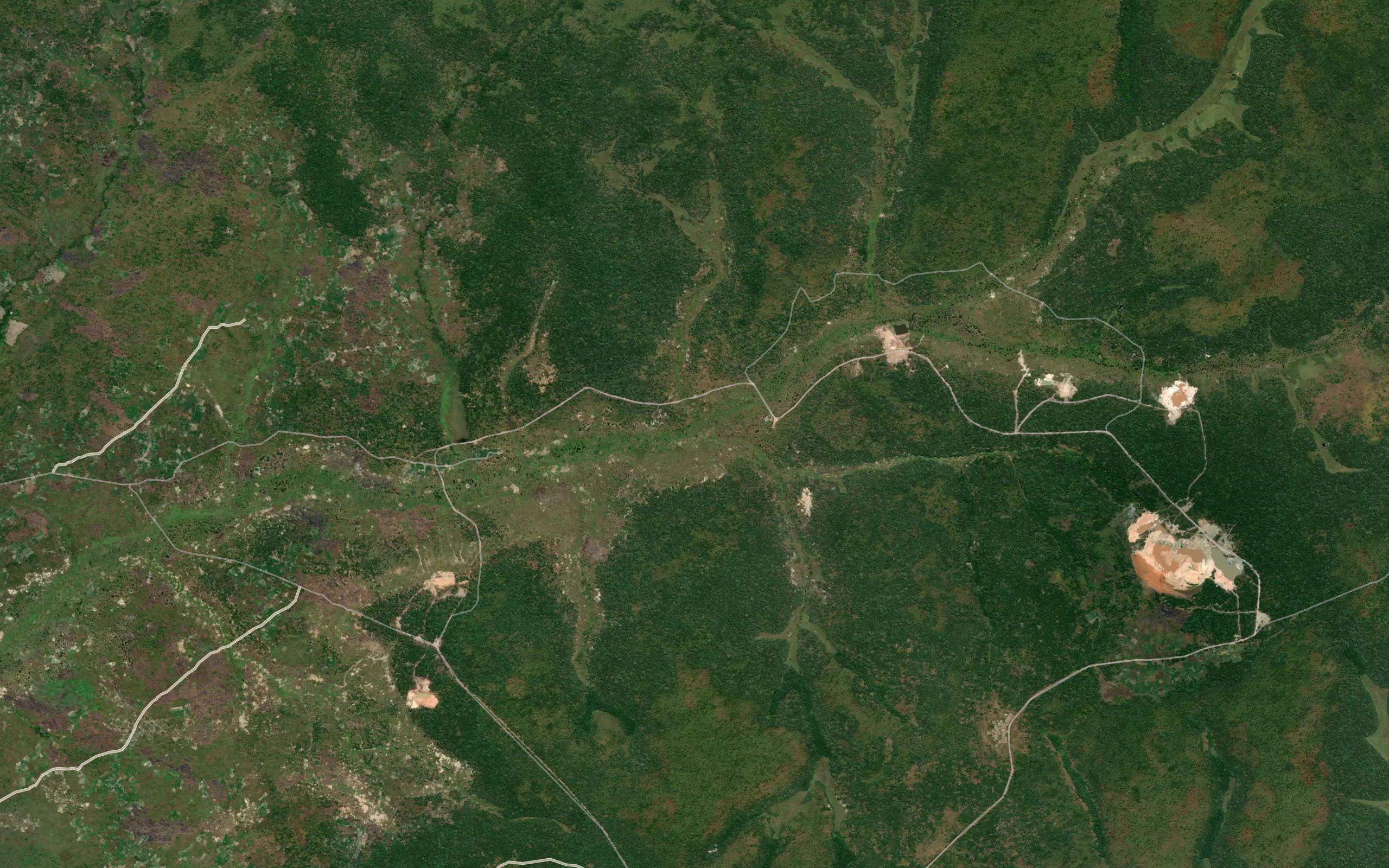 Camaloa