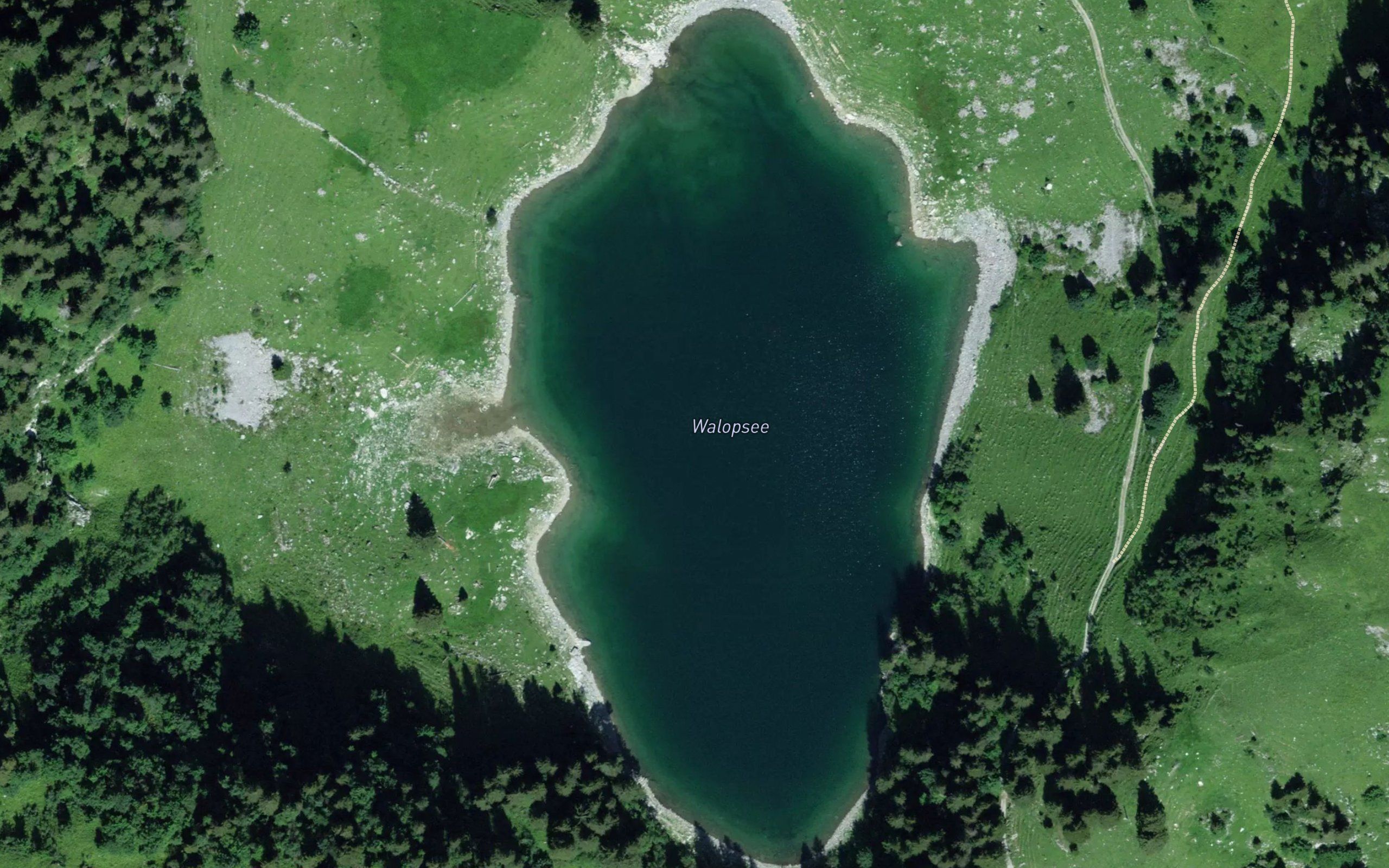 Walopsee