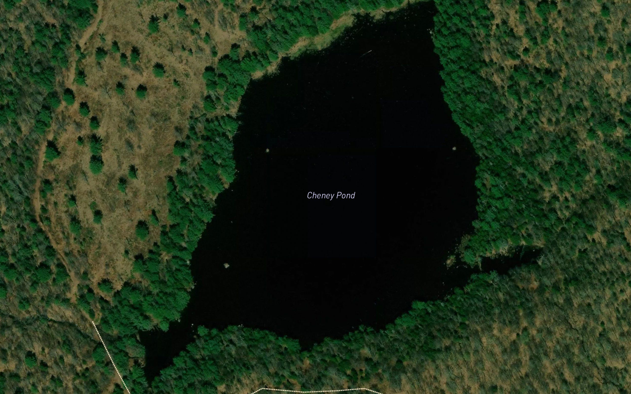 Cheney Pond