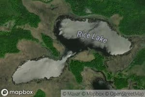 Rice Lake