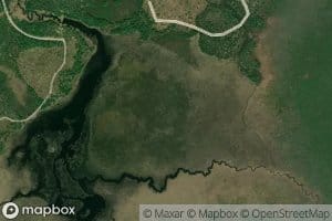 Robinson Creek Flooding