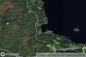 Verpingsvagen