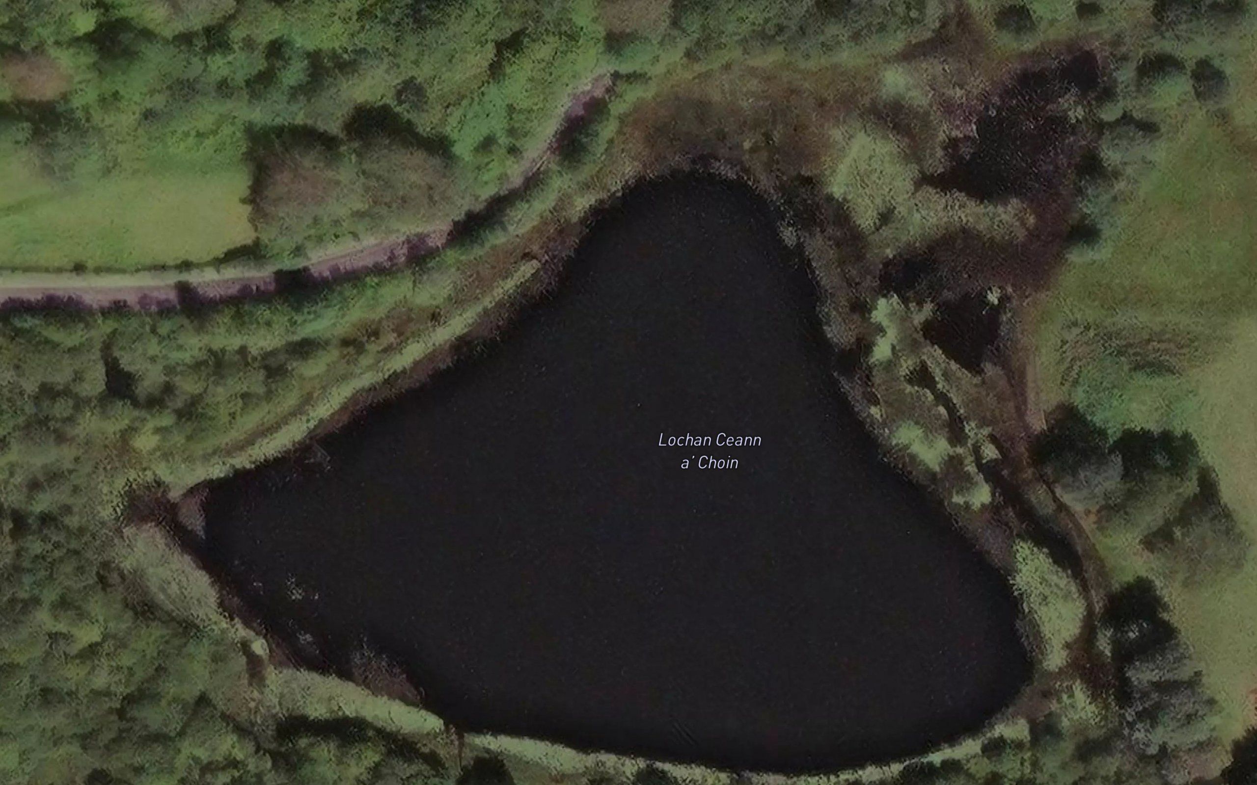 Lochan Ceann a' Choin