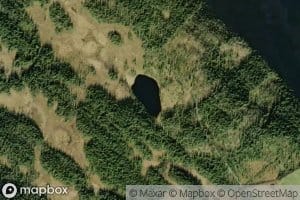 Mjotjednet