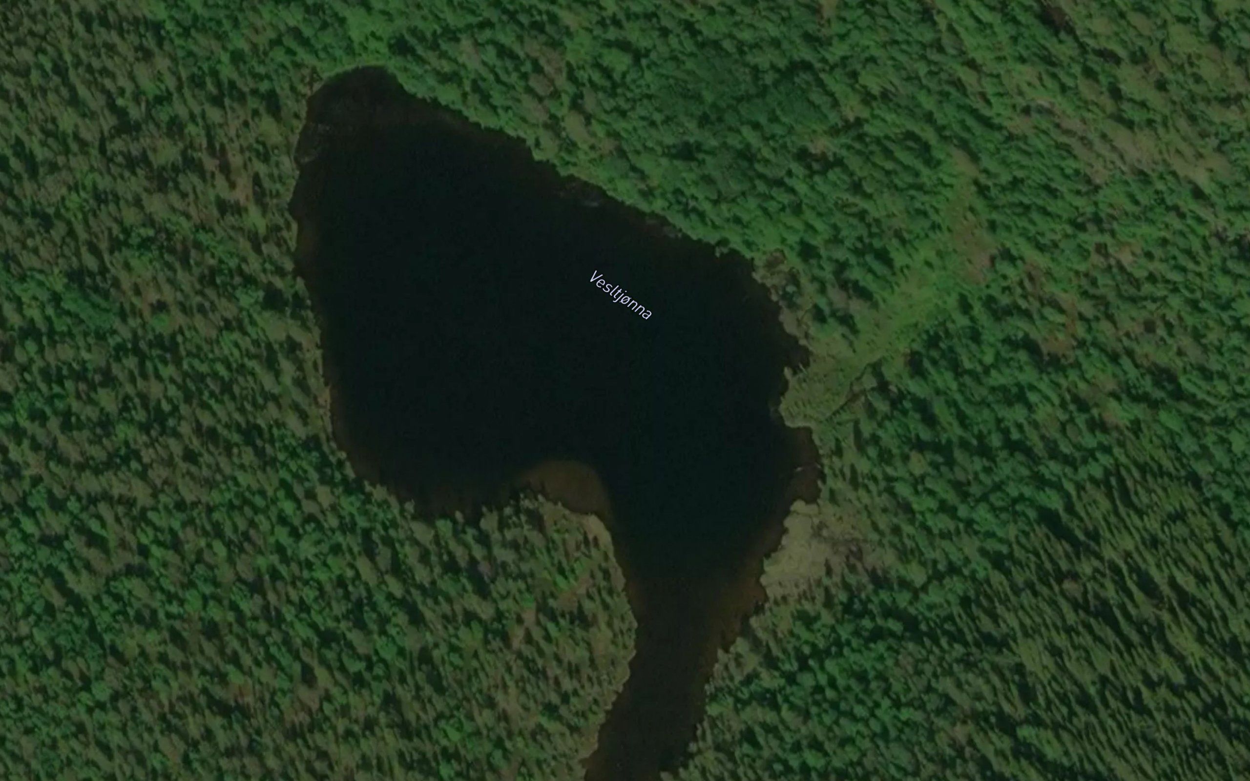Vesltjonna