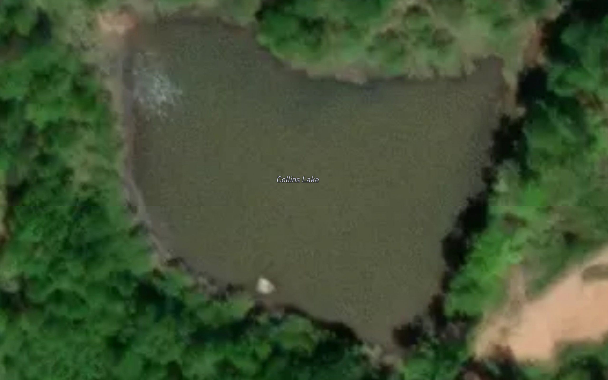 Collins Lake