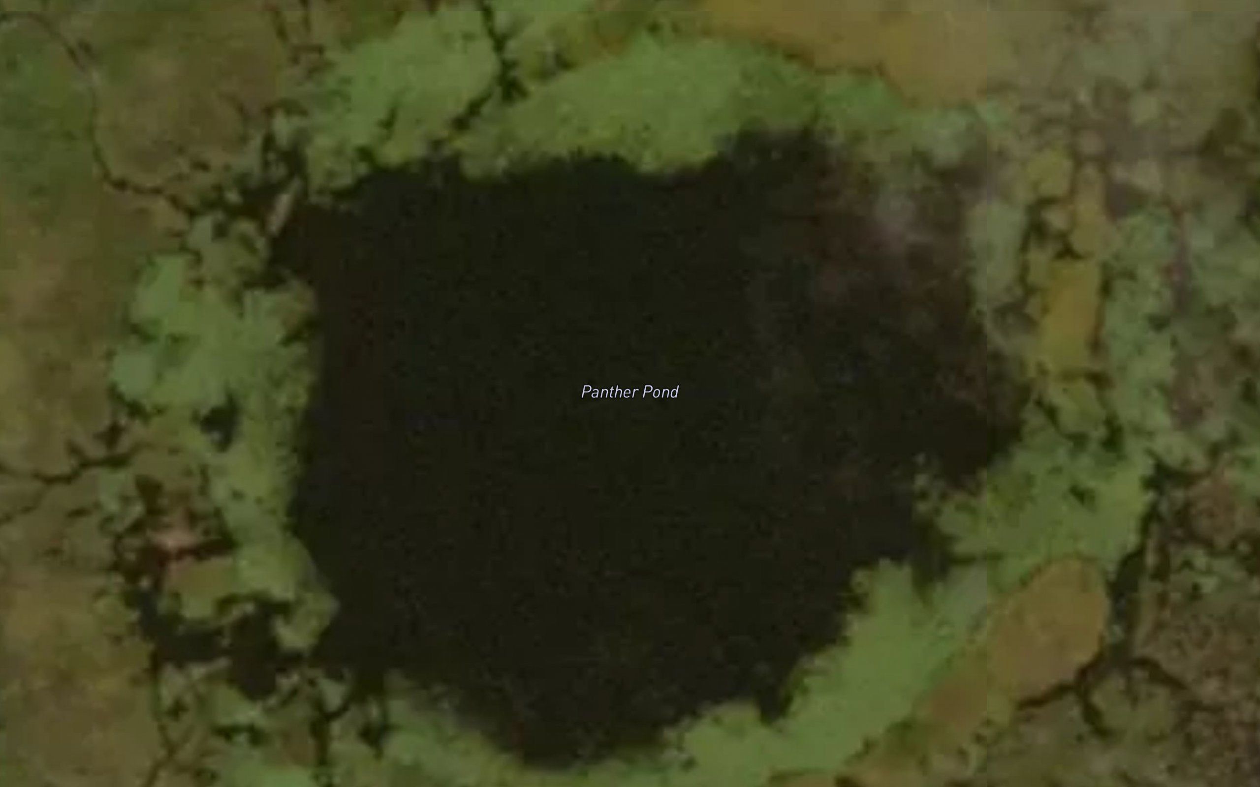 Panther Pond
