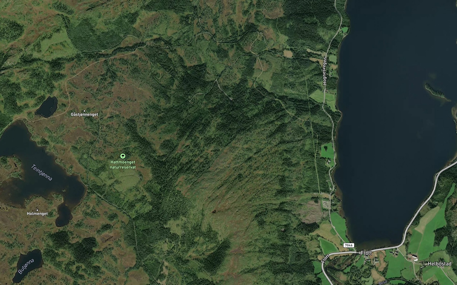 Satellite map of the Liabekken