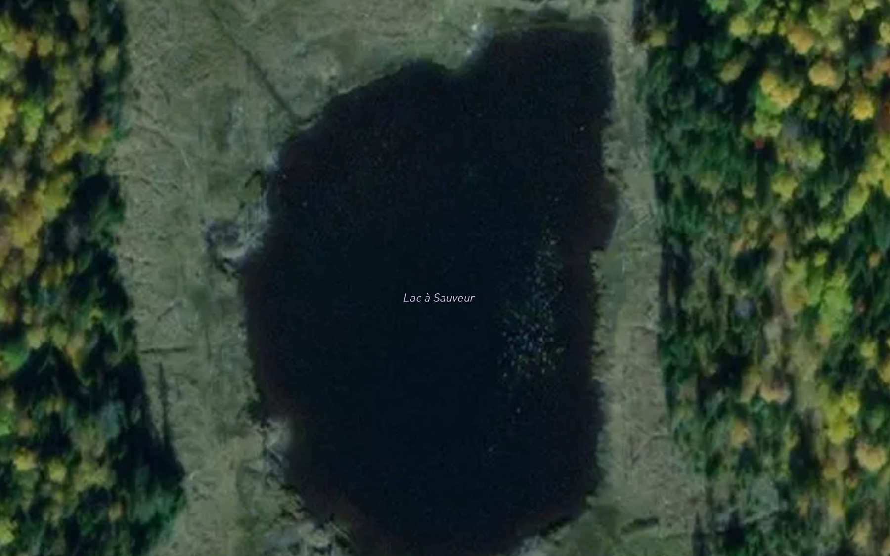 Satellite map of the Lac a Sauveur