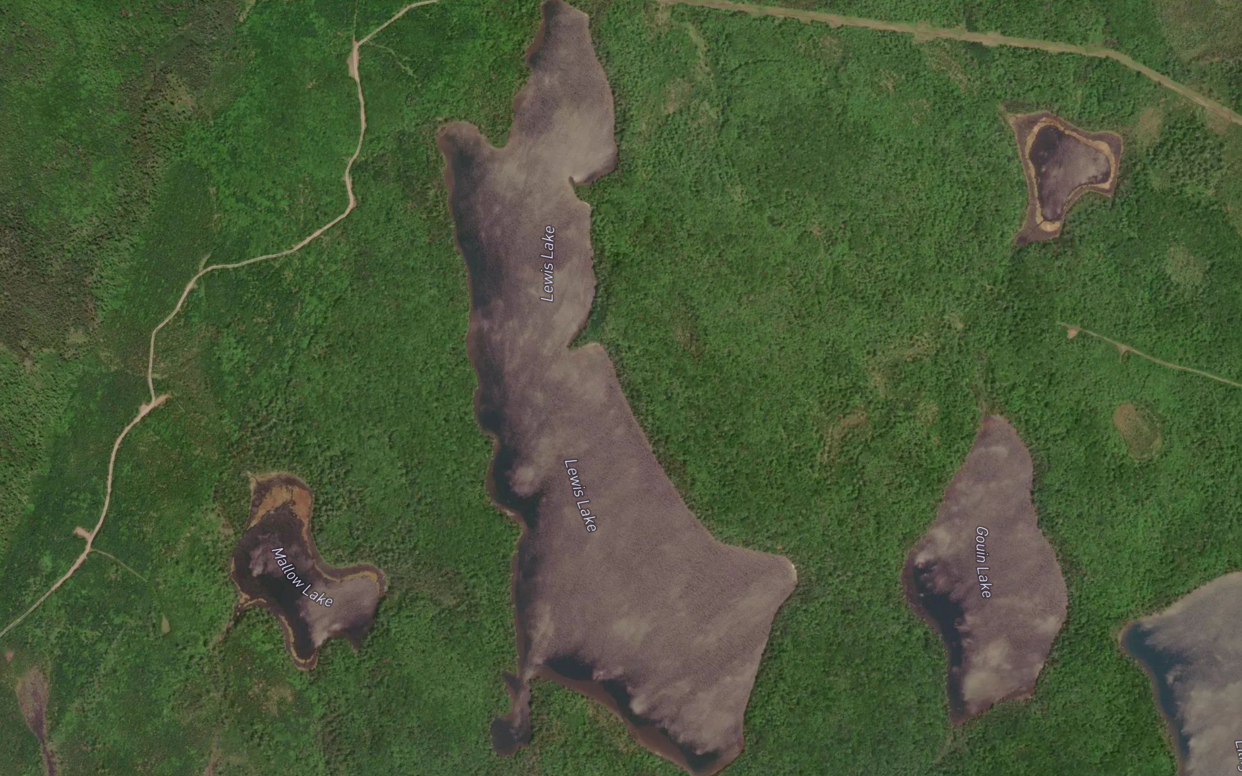 Lewis Lake