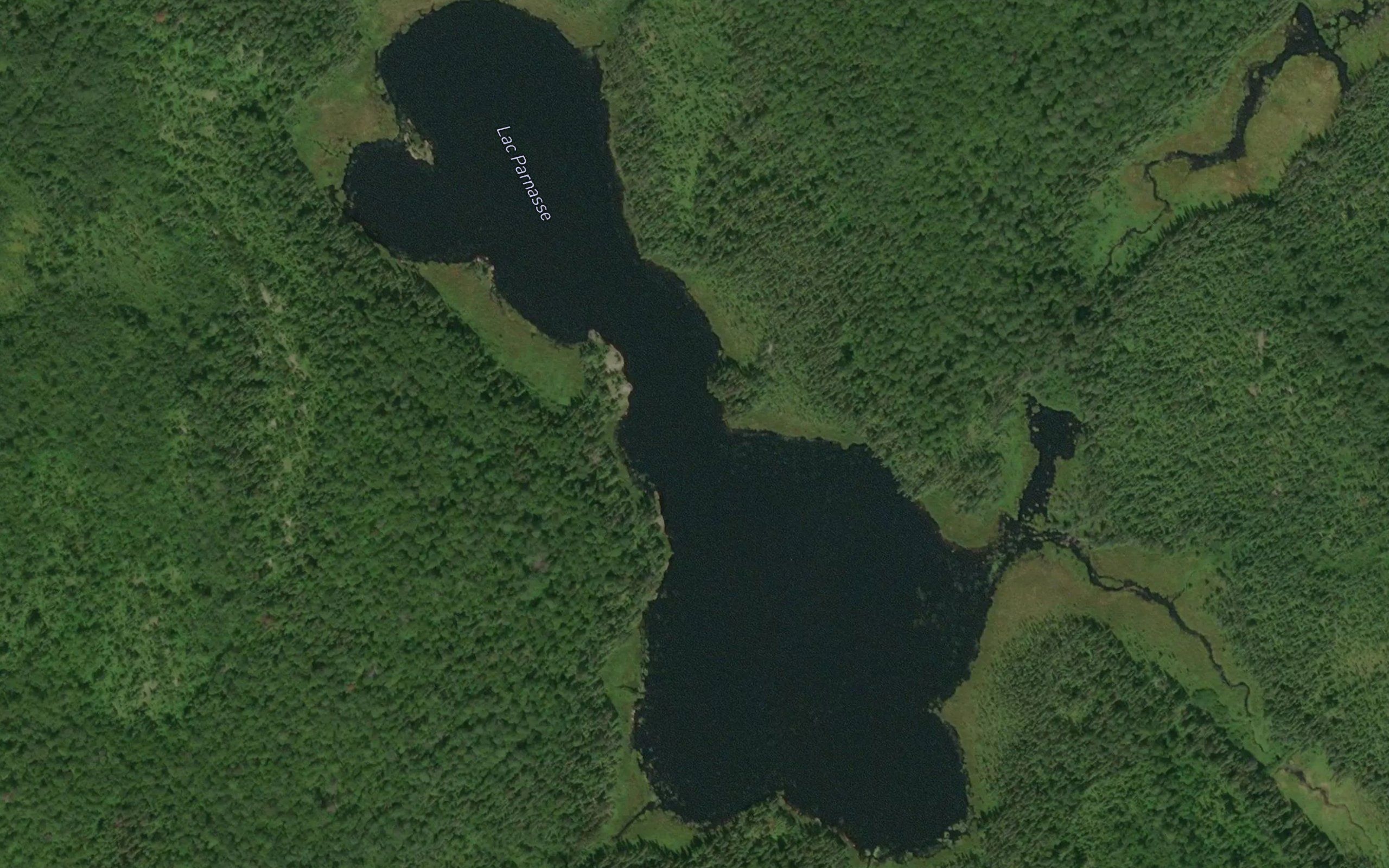 Lac Parnasse