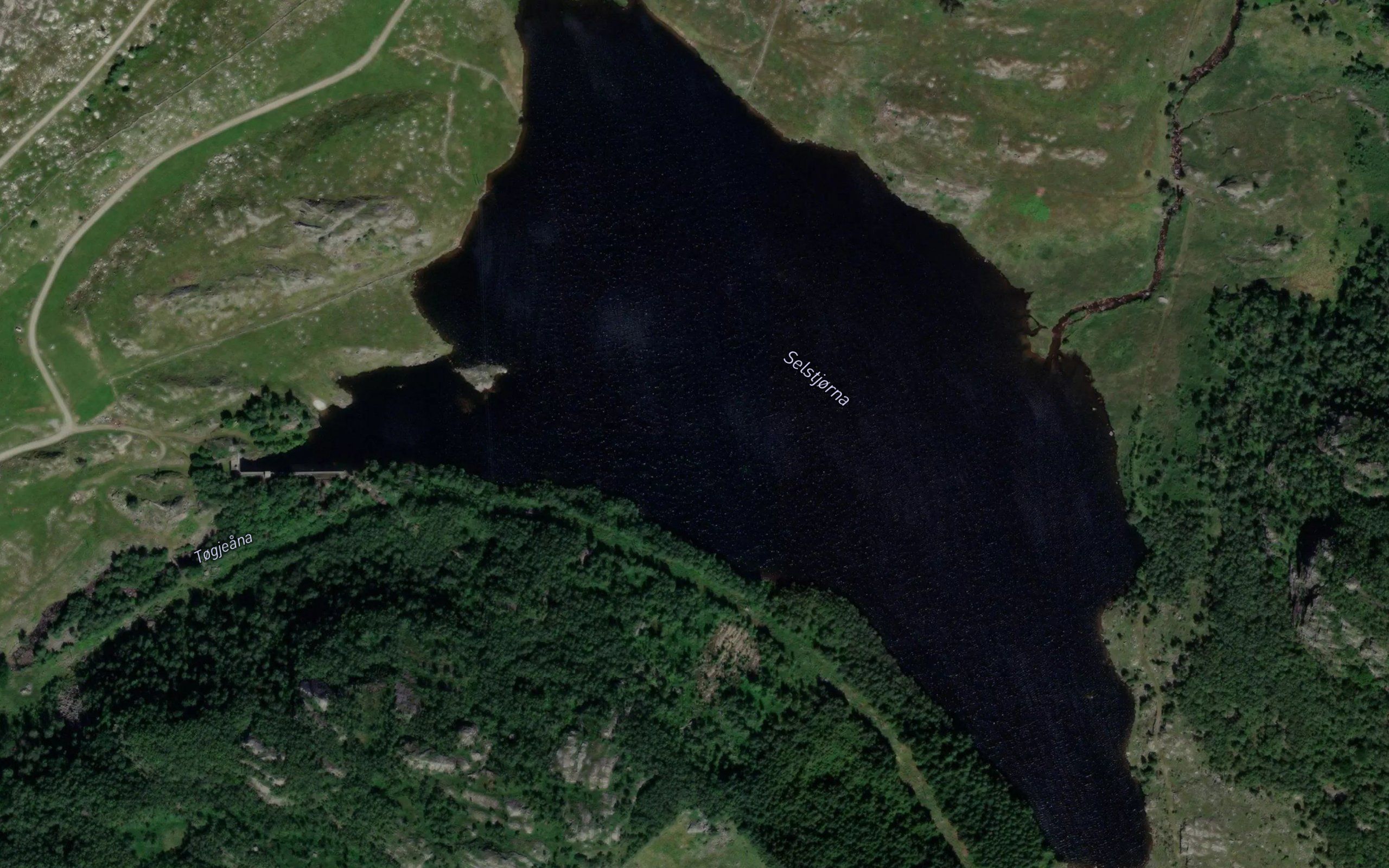Selstjorna
