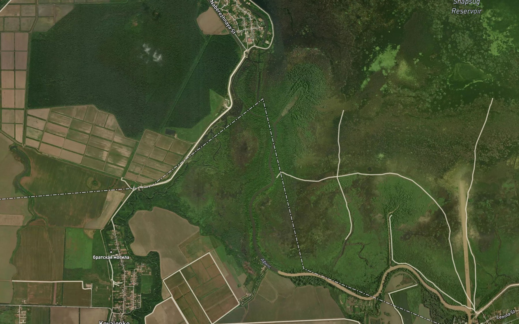 Satellite map of the Afips