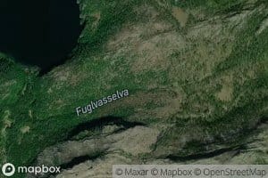 Fuglvasselva