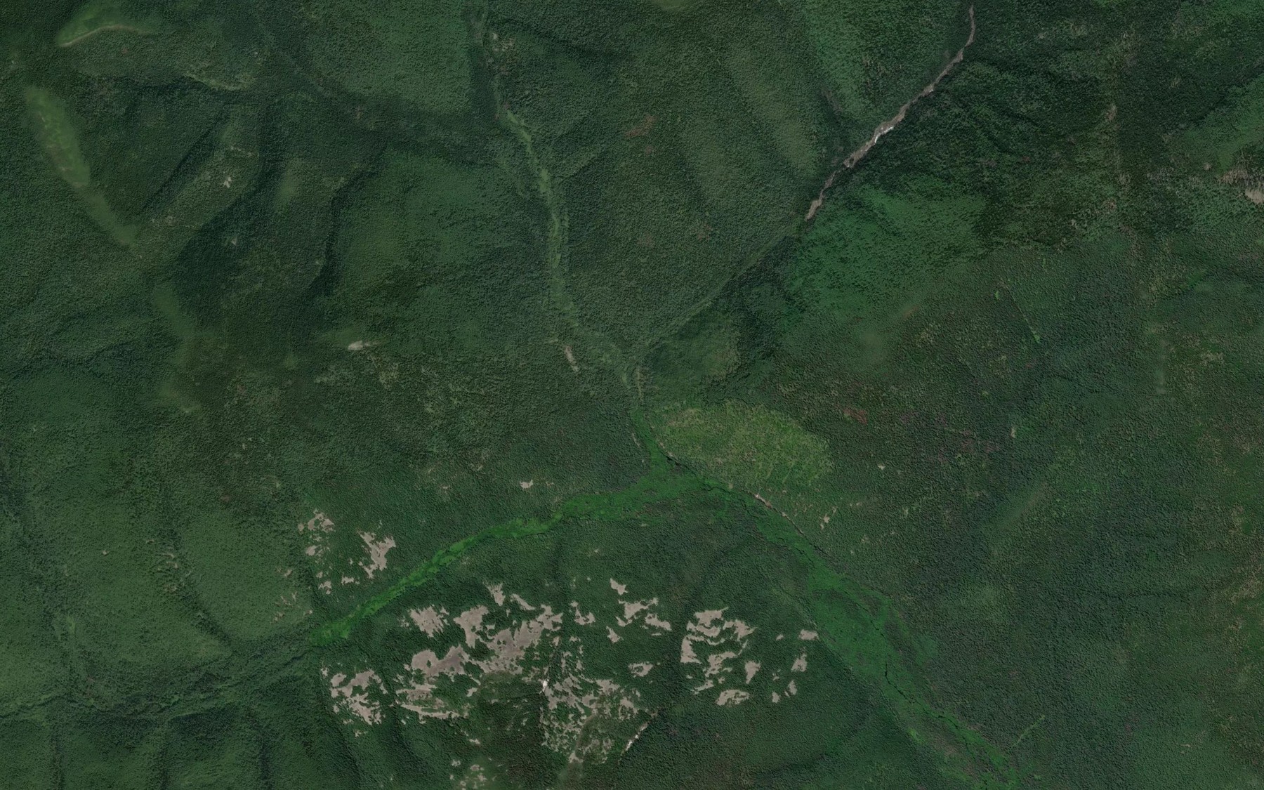 Satellite map of the Odinokiy