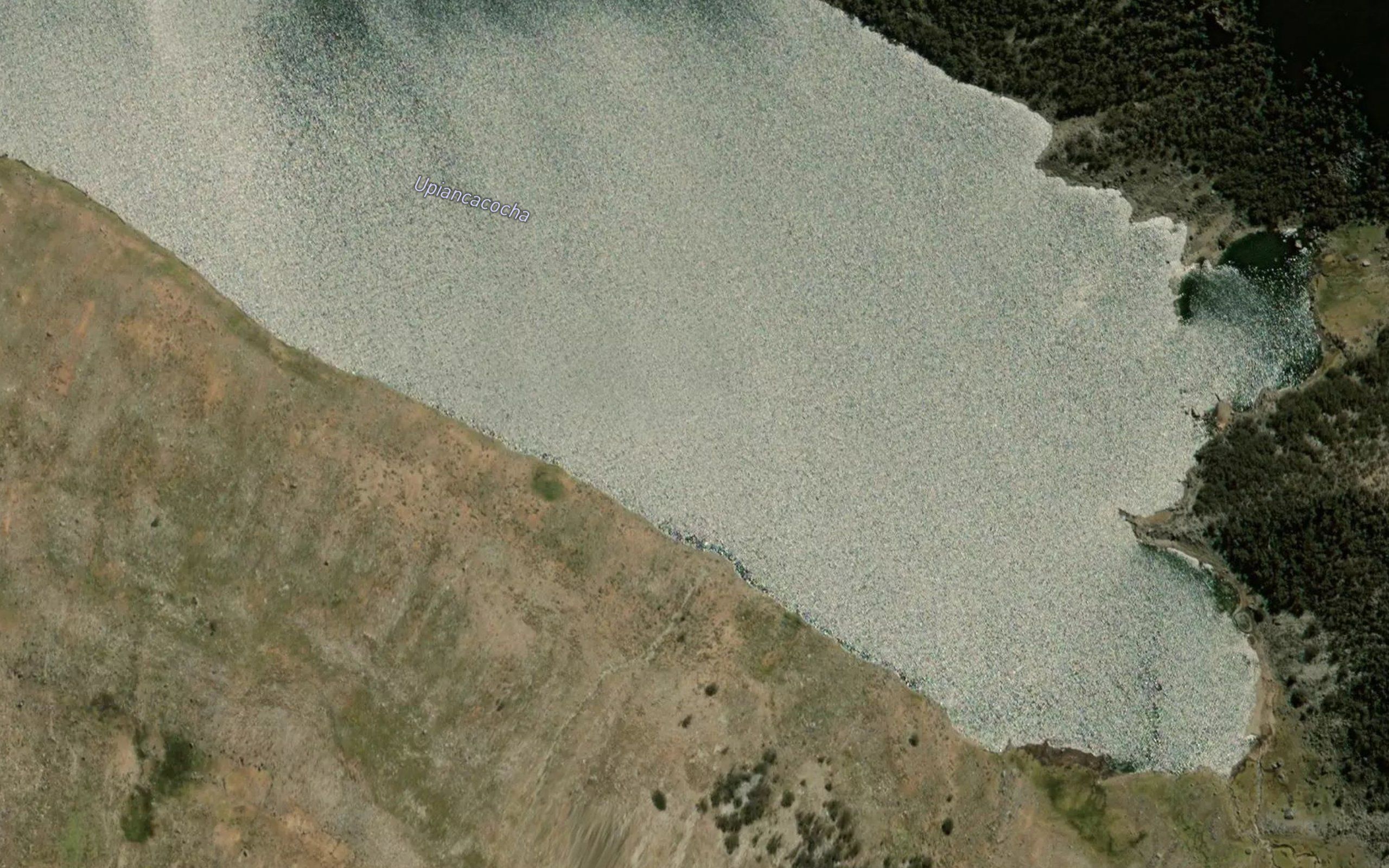 Laguna Upiancacocha