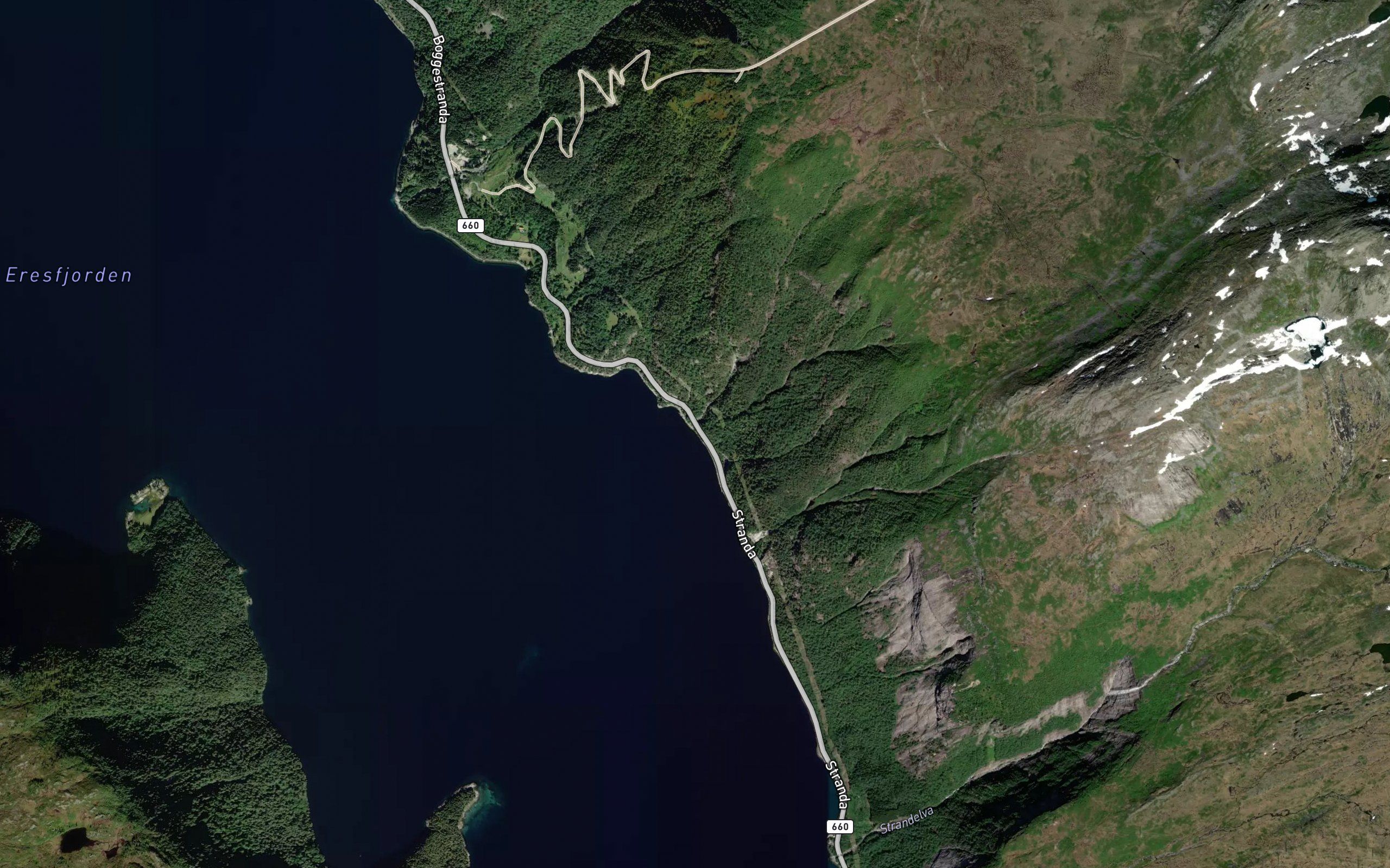 Godvika
