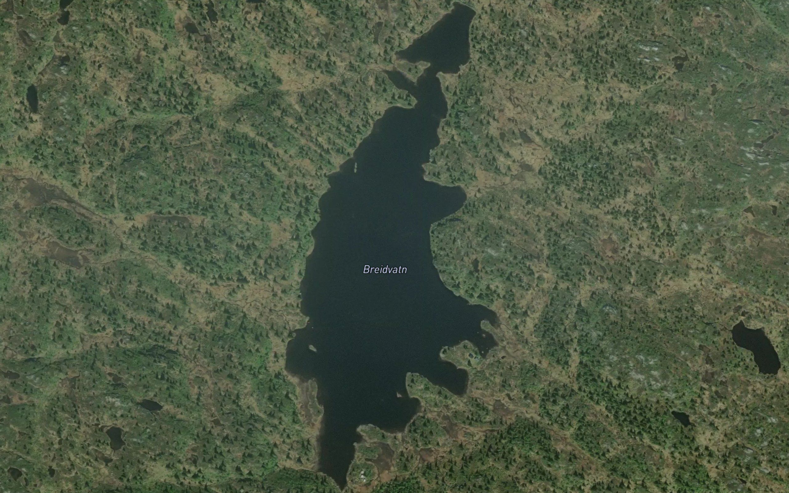 Breidvatn