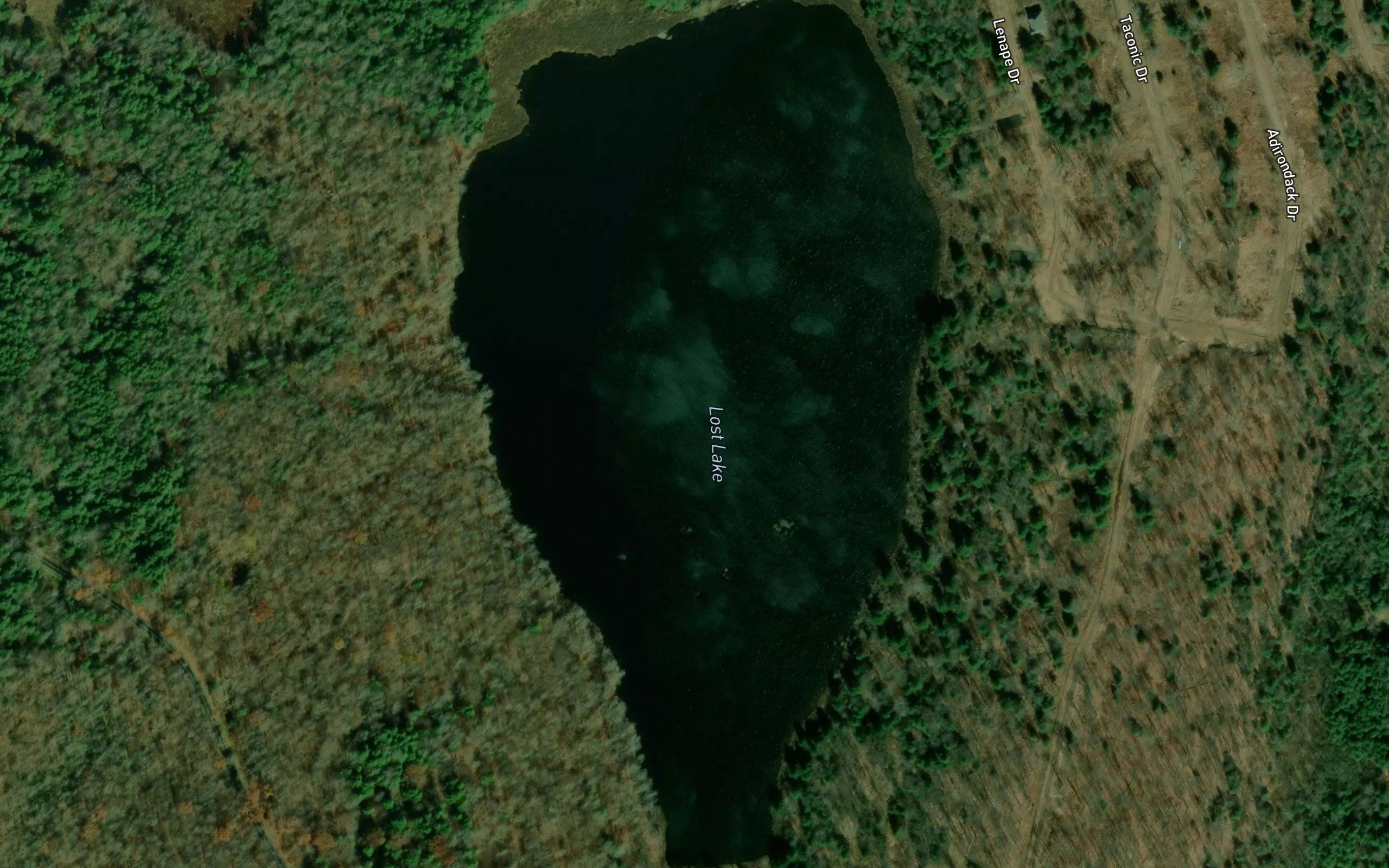 Trout Lake