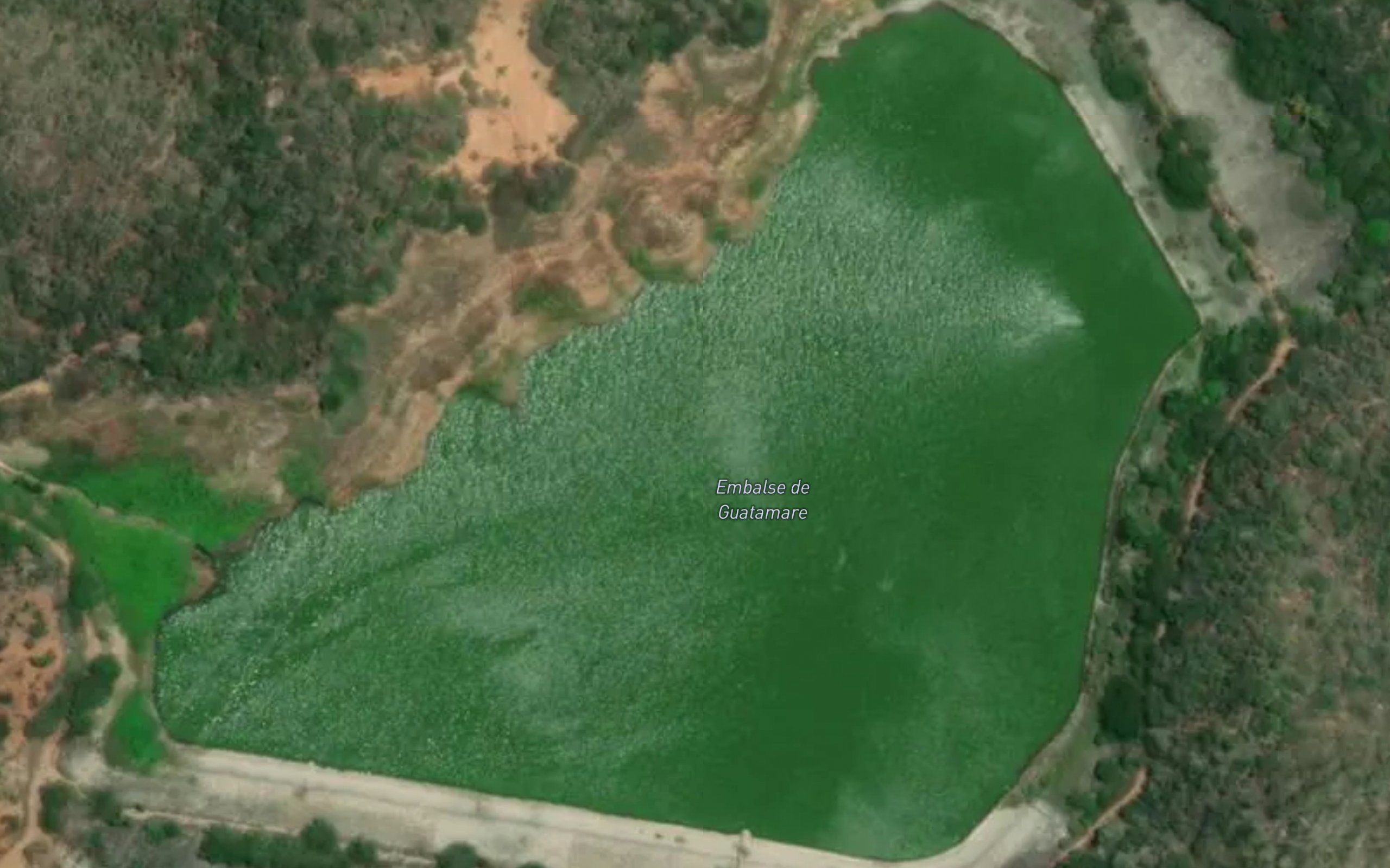 Embalse Guatamare