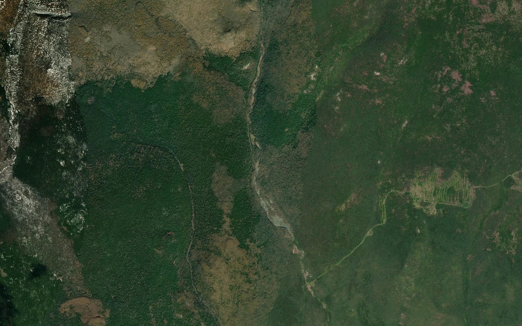 Satellite map of the Lesnoy