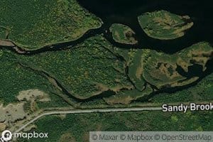 Sandy Brook
