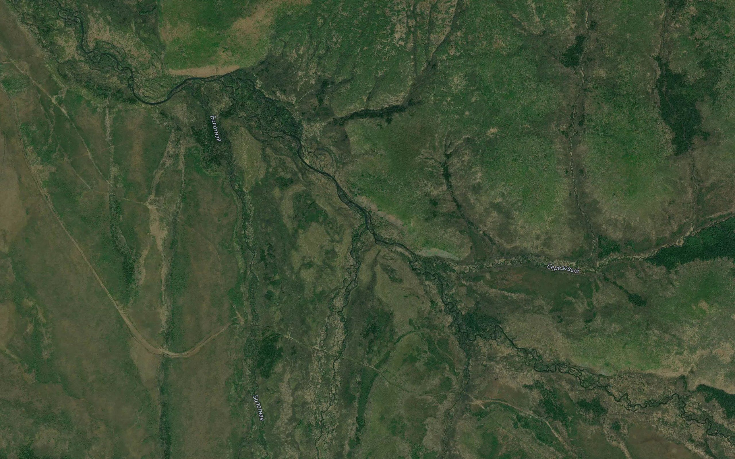 Lesnaya