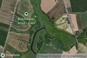 Little Maple Dam Branch